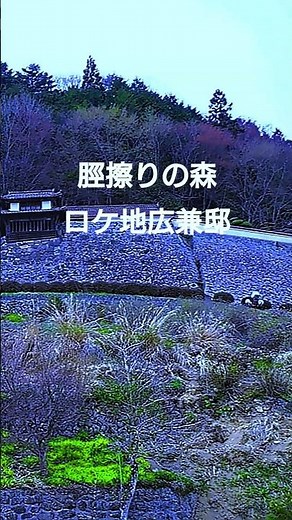 映画『脛擦りの森』本日公開。1年前、撮影直前の「現場」