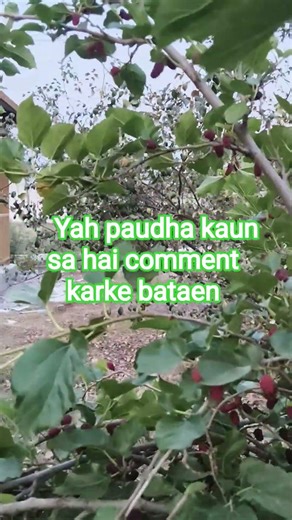 sundar sa najara aaj ka#shortvideo