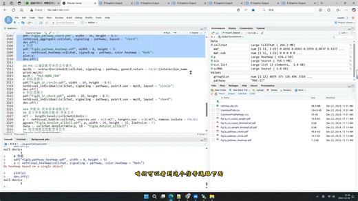 超越代码10b：CellChat细胞互作分析