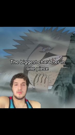 One Piece's Biggest Character: Are Florian Triangle Monsters the Champions?