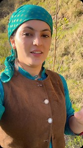 12K views · 10K reactions | Zindgi ke asli mze ❤️ #pahadi #pahadan #pahad #mountain #sukoon #nature #naturevibes #view #village #villagelifestyle | Sujan Thakur Vlogs | Facebook