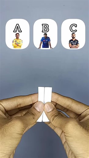 Can You Guess the Number?