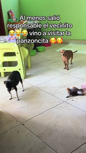 La Panzoncita de Palo Verde y el Vecinito