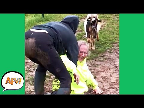 It's Better to LAUGH Though the FAIL!! 😂 | Funny Life Fails | AFV 2021