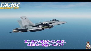 [dcsworld]初心者入門編　基本操作設定(キー配置)