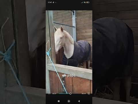 Petit blog de mercredi que je vous avais prévenu