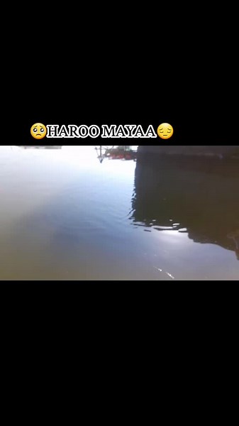 yaaaaaaaaa (@hbbbbbbb75)’s videos with Haroo Haramayaa - Abebe Abeshu