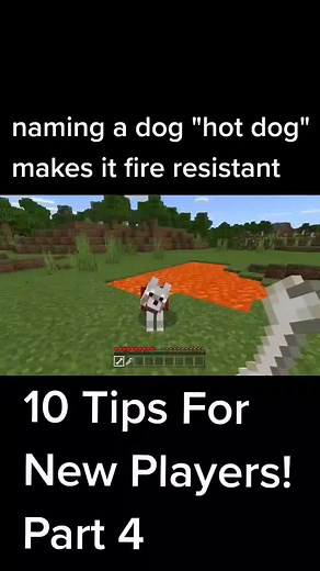 RedstonePanda on TikTok