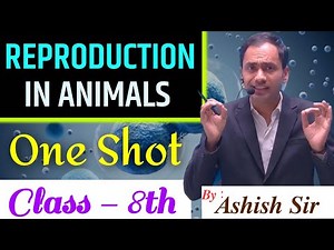 Reproduction in animals| One Shot |Class 8th| AS Campus