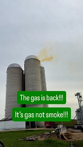 Meadow Lane Dairy on Reels