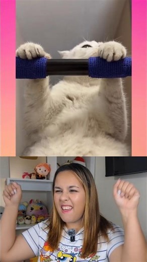 GATITO VS ASPIRADORA 😱@Sonyakisa8#shorts #curiosidades