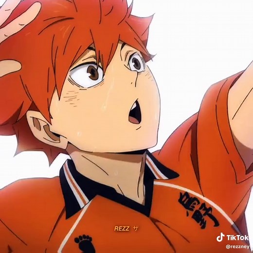 Hinata Shoyo's Journey in Haikyuu Explained