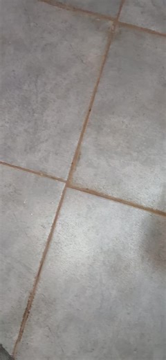 Effective Solution for Red Soil Stains in Grout