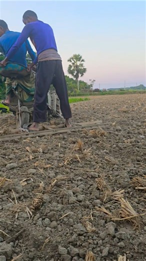 Satisfying Land Leveling with Power Tiller! 🚜🌾 #Shorts