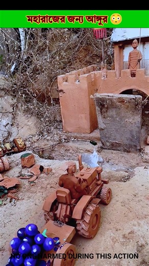 Grapes for the king 😳