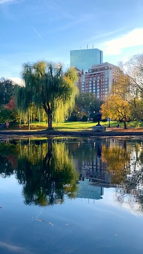 No better place for a quiet think than overlooking the pond and the fall foliage of Boston Public Garden. #bostonpublicgarden #boston #bostontravel #bostontrip #bostonpublicgardens | The Avid Ambler