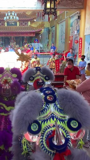Lions kneel and bow to the deities in a temple to pray for us for a prosperous and peaceful year. Lions bow 9 times to the high ranking deities to show the highest respect. You don't see this every day.