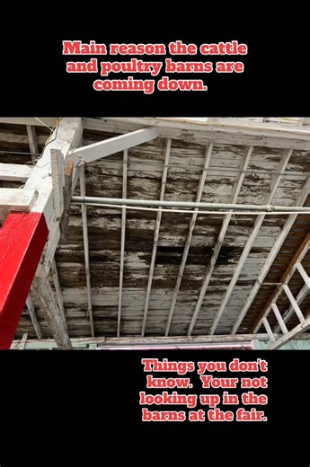 Sevier County Fair on TikTok