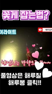 해루질로 꽃게 잡는법!! 야 너도 할수있어!!~^^ #꽃게해루질 #해루질 #꽃게잡는법 #해루질포인트