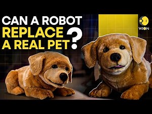 Tombot’s Robotic Dog Brings Comfort to Seniors | CES 2026
