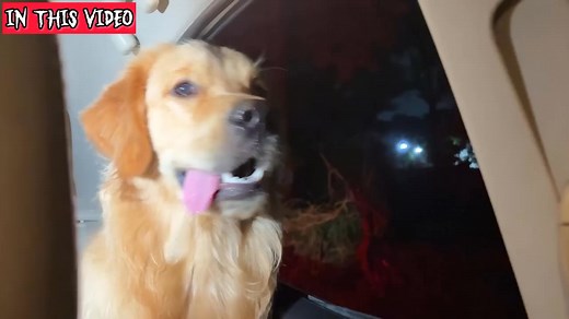 Our Car Is Haunted _ The Scariest Night _ Anant Rastogi | Anant Rastogi