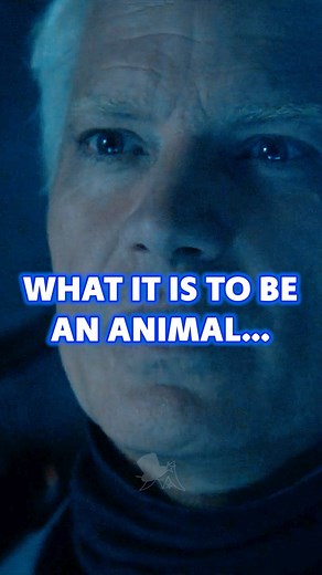 1.8K views | Kirsh: Humanity. Your lives were short and filled with...