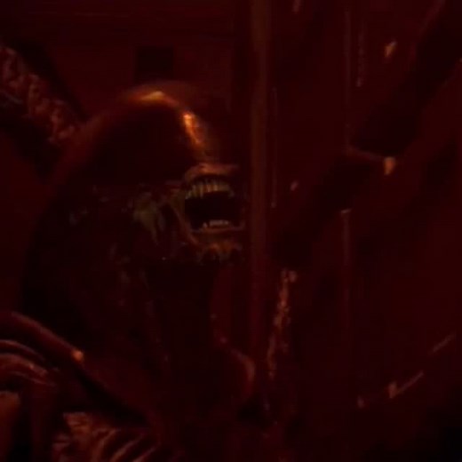 Alien the 8th Passenger | The Alien Dog, The Runner, or The Dragon Born from a quadruped host, this Xenomorph broke the mold: faster, more agile, and more... | Instagram