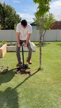 Edging my lawn #lawncare #yardwork #fyp