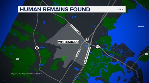 Human skull, other skeletal remains found in South Jersey; investigation underway