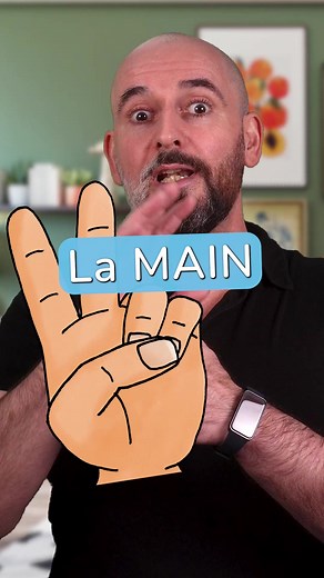 Vocabulaire de la MAIN en français 👉 70 PDF (free) pour apprendre le français : learn-french-fun . com / pdf (Link in bio) 😀 #Französischlernen #Französisch #französischunterricht #learnfrench #frenchvocabulary #frenchlanguage #ilovefrench #французский #изучатьфранцузский #imparareilfrancese #francese #apprendrelefrançais #fle #languefrançaise #français #parlerfrançais #フランス語 #francés #francesonline #aprenderfrances #cursodefrances #aussprache | Learn French Fun