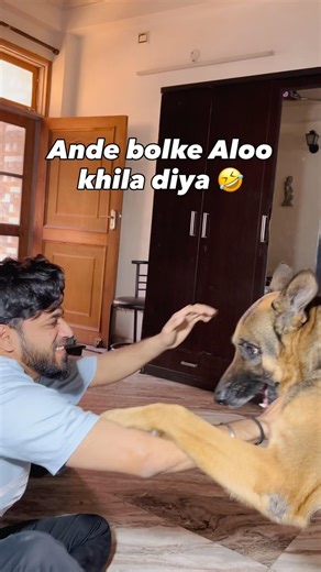 Anda bolke ALOO de diya 😭🐶 | Angry Dog Reaction #dogshorts #doglove #germanshepherd #funny #viral