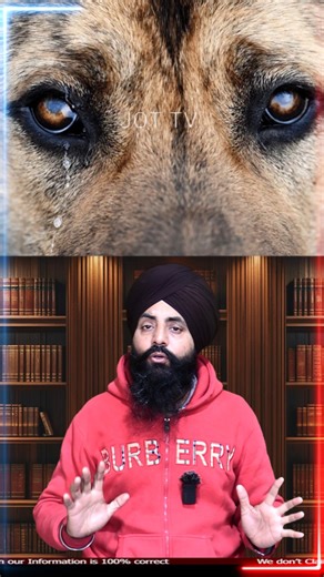 How Water Formed on Earth 😱✨ Science of Life#ScienceExplained #CosmicSecrets #LifeOnEarth#WaterOrigin #EarthMystery #DidYouKnow | Jot Tv Media