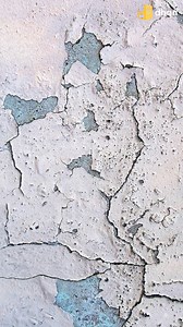 125K views · 1.7K reactions | Essential Tips for Painting Your House...