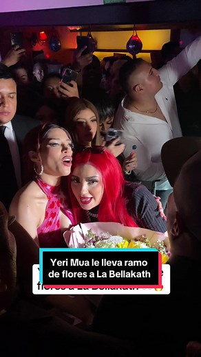 lajunglaurbana on TikTok