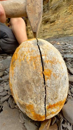 We came across a HUGE shale landslide filled with rocks containing fossils! 🏝️