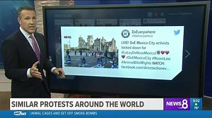 16K views · 697 reactions | The global lockdown for an Animal Bill of Rights, explained. #RosesLaw #RightToRescue | Direct Action Everywhere - DxE | Facebook