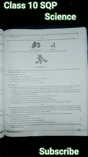 Class 10 Sample Question paper Science//question practice Science #pw#like 😄 Board preparation #SQP#