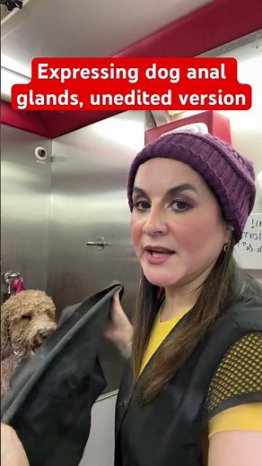 Expressing dogs anal glands