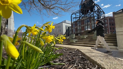 5.7K views · 91 reactions | Last day of winter Boston campus stroll  turns into a spring  preview. | Northeastern University | Facebook
