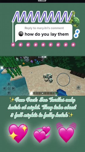 How to Lay Turtle Eggs in Minecraft: Step-by-Step Guide