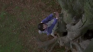 Photographing Fairies (Fotografiando hadas, 1997, VOSE)