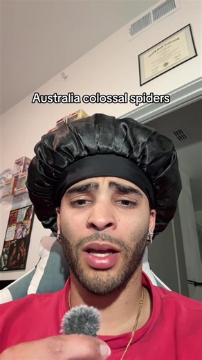 Incredible Australia Swamp Spider Behavior