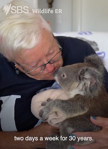 327K views · 10K reactions | "I have like 25-year-old males come over and go gooey." Australia's cutest patients win everyone over. Wildlife ER | Starts Wednesday 8 February at 7.30pm on SBS | SBS Australia | Facebook