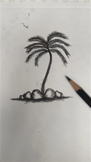 Learn to Draw: Palm Tree Pencil Sketch Step-by-Step