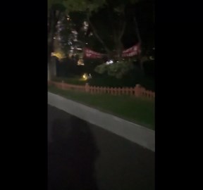 Dog hops like a bunny in Hubei, China