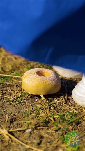 Die besten HACKEN für Ihren nächsten Roadtrip