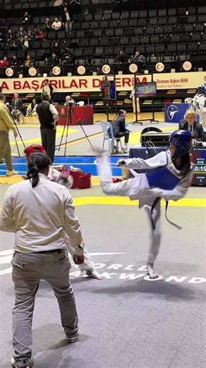 Taekwondo Girl: Techniques and Journey