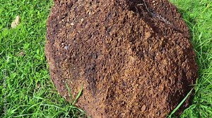 Feldspars stone : are a group of rock-forming tectosilicate minerals that make up about 41% of the Earth's continental crust by weight, on ground field.