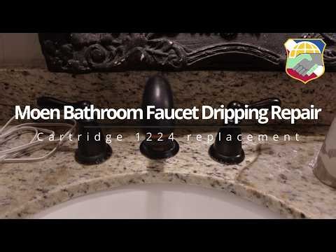 Moen Bathroom Faucet Dripping Repair Cartridge 1224 replacement 14272 removal tool