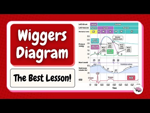 The Best Wiggers Diagram Lesson | Cardiac Cycle Physiology [High Yield Review]